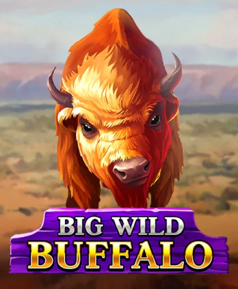 Play Big Wild Buffalo at Rosy Bingo Casino